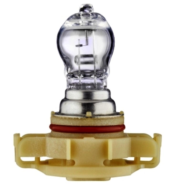 HELLA Bulb - PSX24W - Standard - 12V - 24W - Socket Type: PG20/7 - Box - Quantity: 1 - 223569001