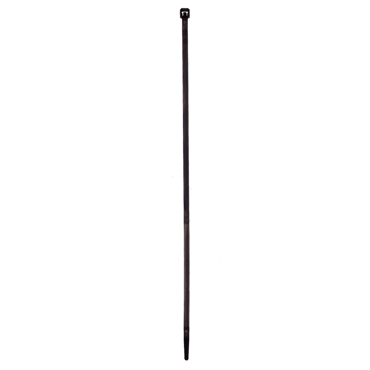 Air Shock Absorber