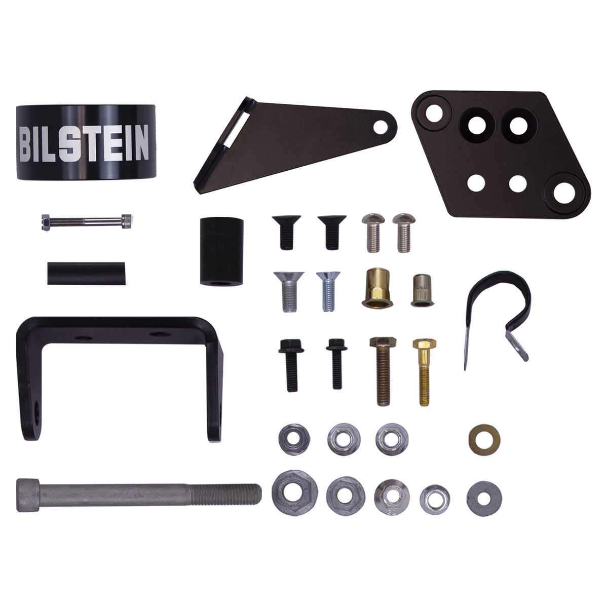 Bilstein 25-287813 B8 8100 (Bypass) - Suspension Shock Absorber