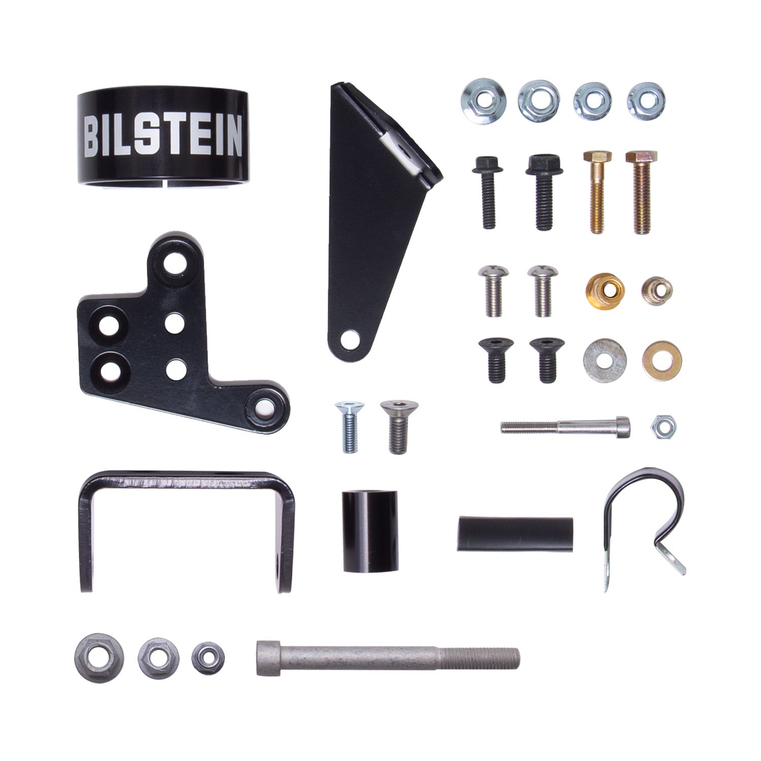 Bilstein 25-331097 B8 8100 (DSA) - Suspension Shock Absorber