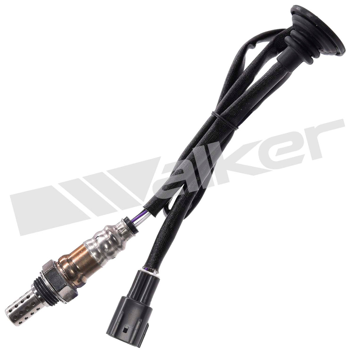 Walker Products Oxygen Sensor - 250-241223