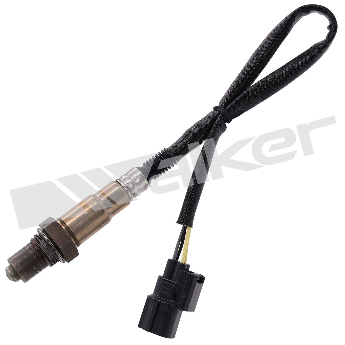Walker Products Oxygen Sensor - 250-241256