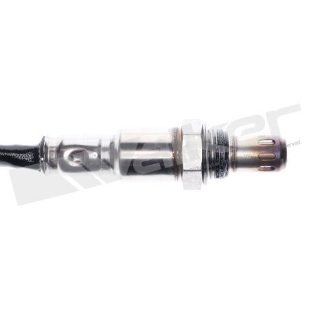 Walker Products Oxygen Sensor - 250-241344