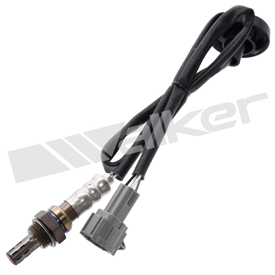 Walker Products Oxygen Sensor - 250-24401