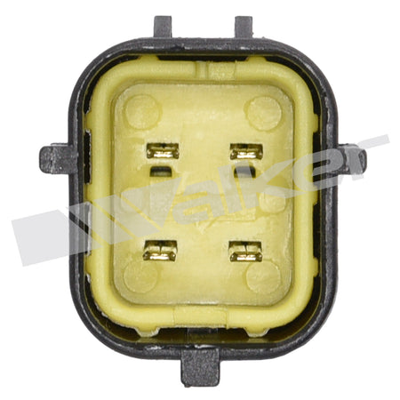 Walker Products Oxygen Sensor - 250-24438