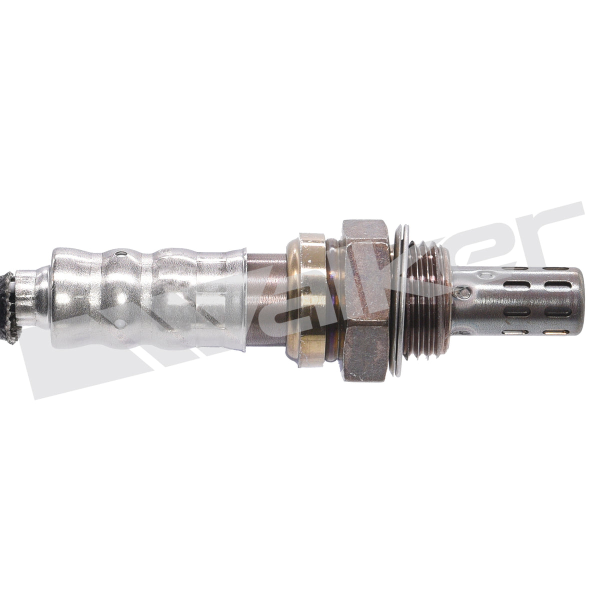 Walker Products Oxygen Sensor - 250-24791