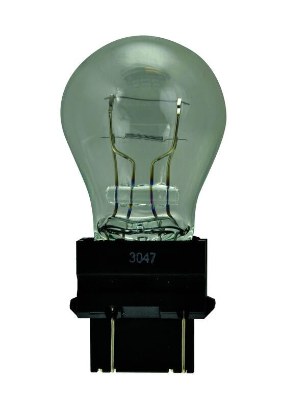 HELLA Back Up Light Bulb - 3047