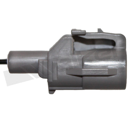 Walker Products Oxygen Sensor - 350-31005