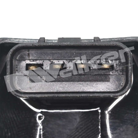 Walker Products ThunderSpark Ignition Coil - 920-1166