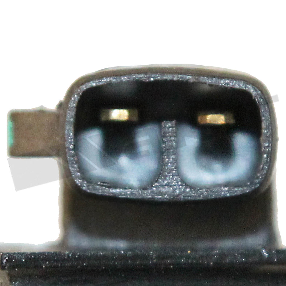 Walker Products ThunderSpark Ignition Coil - 921-2165