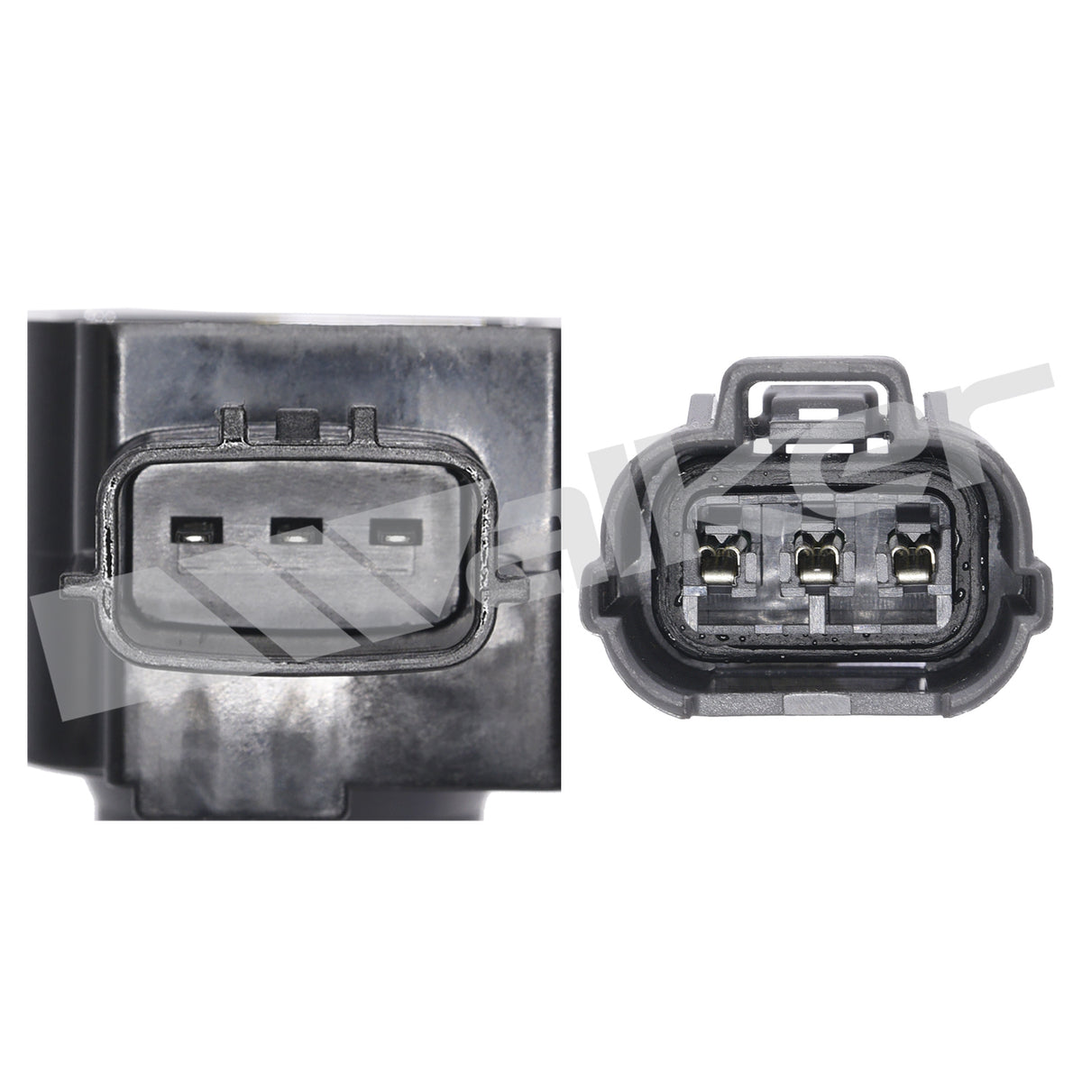 Walker Products ThunderSpark Ignition Coil - 921-92104
