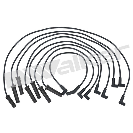Walker Products ThunderCore PRO Spark Plug Wire Set - 924-1433