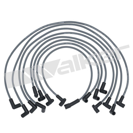 Walker Products ThunderCore PRO Spark Plug Wire Set - 924-1461