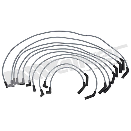 Walker Products ThunderCore PRO Spark Plug Wire Set - 924-2024