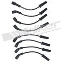 Walker Products ThunderCore PRO Spark Plug Wire Set - 924-6004