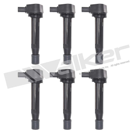 Walker Products ThunderSpark Ignition Coil Set - 928-4064-6