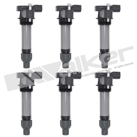 Walker Products ThunderSpark Ignition Coil Set - 928-4096-6