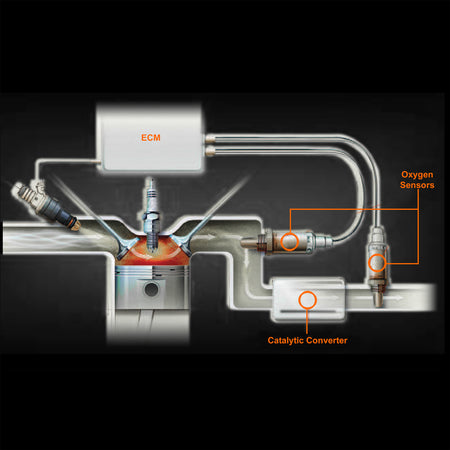 Walker Products Oxygen Sensor - 350-341007