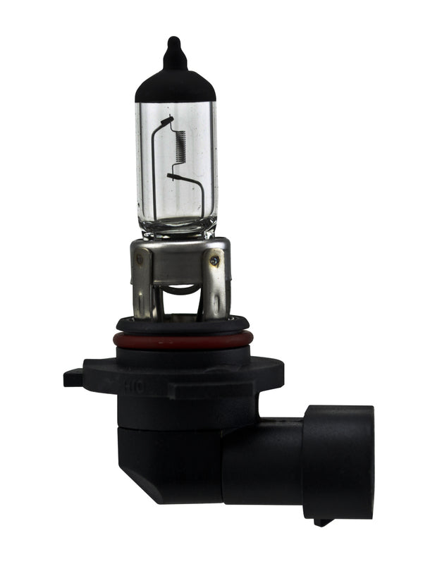 HELLA Fog Light Bulb - H10SB