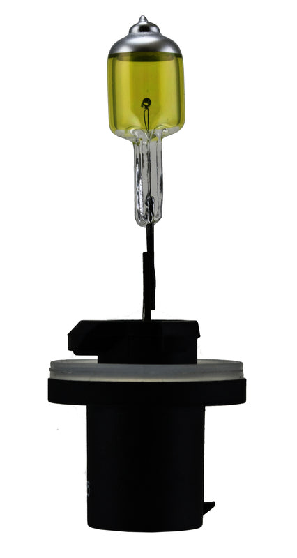 HELLA Optilux Fog Light Bulb - H71071192