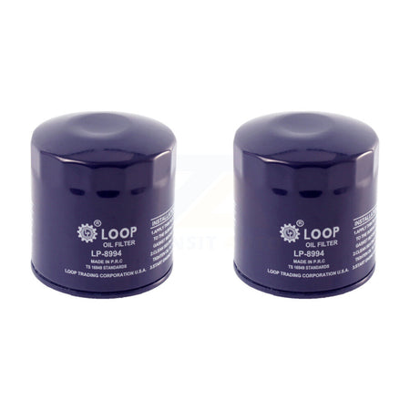 Engine Oil Filter (2 Pack) For Audi A4 Quattro Volkswagen Passat A6 Allroad S4 Cabriolet KLO-100010